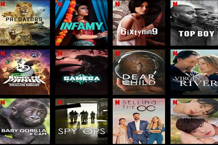 Rekomendasi Series yang Tayang dI Netflix Bulan September 2023 Bertabur Bintang - Bintang (tangkapan layar netflix.com)