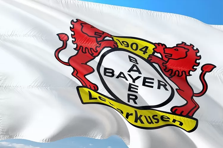 Prediksi Leverkusen dan Darmstadt Bundesliga 2023 2024 Leverkusen Hanya Kalah 1 Kali (Foto oleh jorono dari Pixabay)