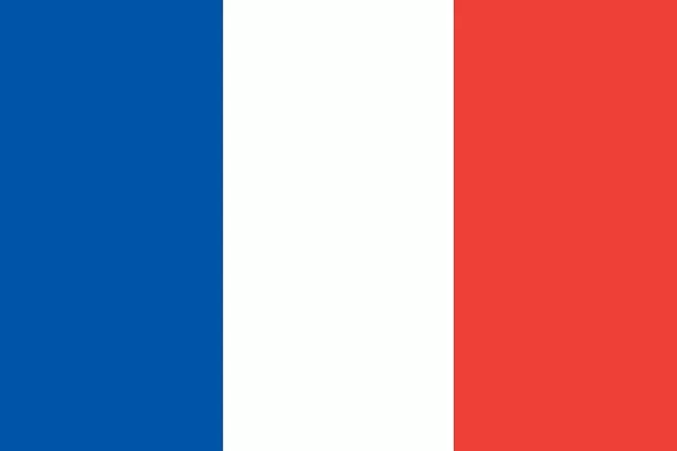 Prediksi Skor Prancis vs Irlandia Kualifikasi Euro 2024 H2H Prancis Unggul (Foto oleh Sally-Kay dari Pixabay)