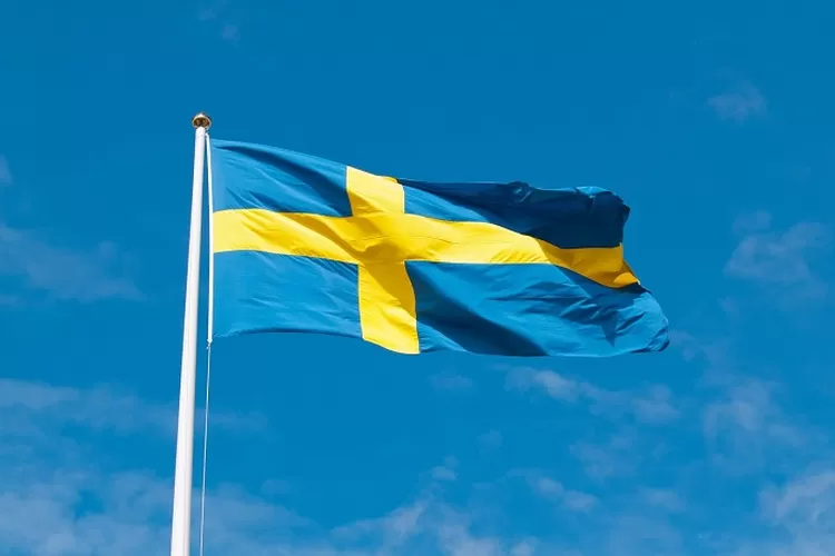 Estonia vs Swedia Kualifikasi Euro 2024 Diatas Kertas Swedia Berpeluang Menang Besar ( Foto oleh Unif dari Pixabay)