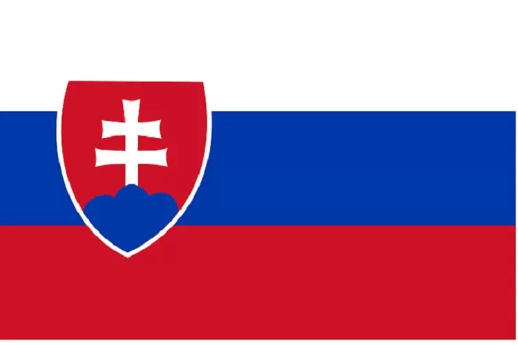 Prediksi Skor Slovakia dan Liechtenstein di Kualifikasi Euro 2024 H2H dan Performa Tim ( Foto oleh OpenClipart-Vectors dari Pixabay)