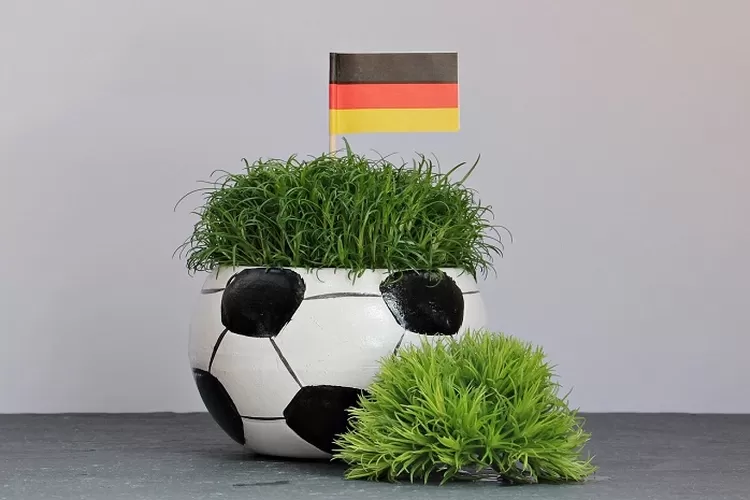 Prediksi Skor Jerman vs Prancis FIFA Matchday 13 September 2023 H2H Prancis Unggul (Foto oleh NoName_13 dari Pixabay)