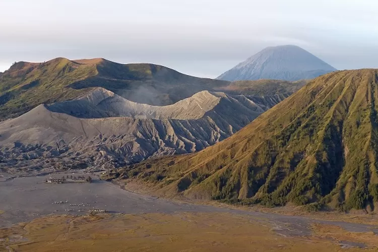 Kawasan Bromo Mulai Menghijau Usai Kebakaran Akibat Flare Foto ...