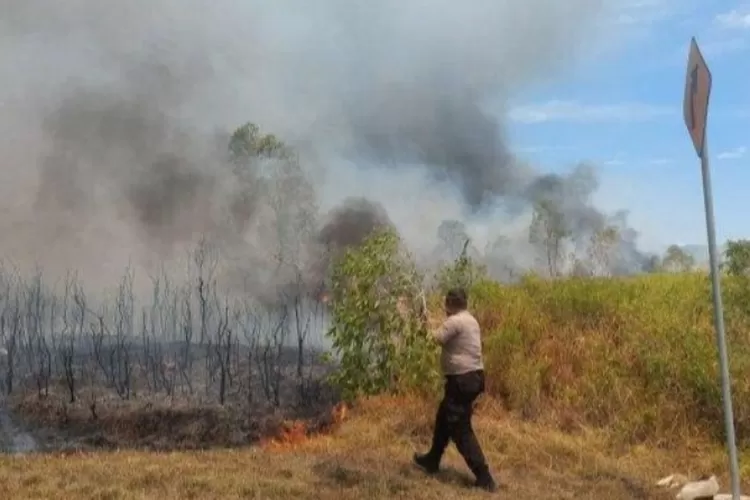 Kawasan Huamual Muka Belakang SBB Waspadai Kebakaran Hutan (Humas Polres SBB )