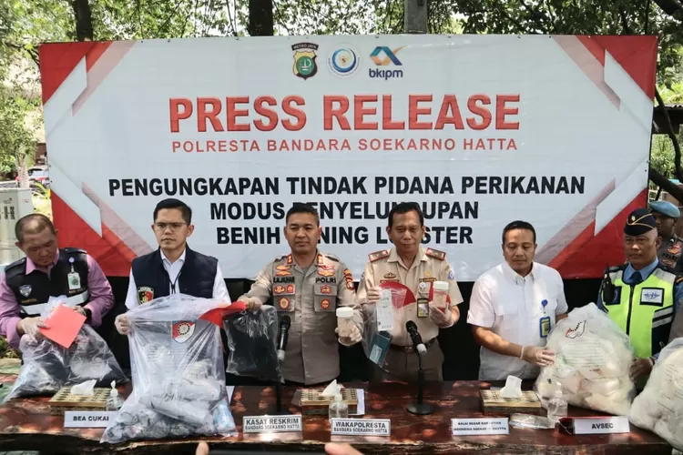 Wakapolresta Surakarta AKBP RM Djauhari memimpin pressrilis kasus penyelundupan lobster  (istimewa )