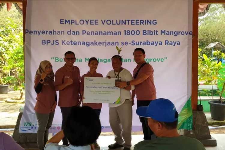 Karyawan BPJS Ketenagakerjaan Surabaya Darmo saat menyerahkan 500 bibit mangrove secara simbolis