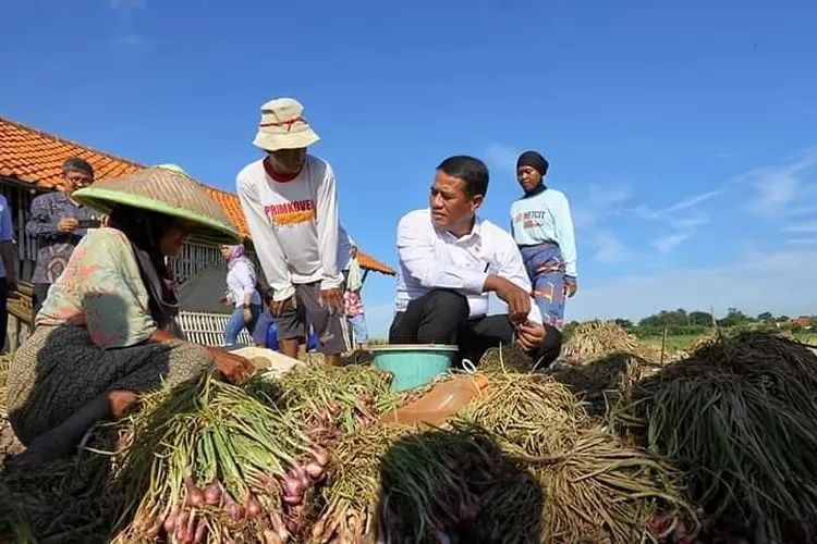 Profil Amran Sulaiman, Mantan Menteri Pertanian yang Dilantik Kembali oleh Jokowi Menggantikan SYL (foto: instagram.com/a.amran_sulaiman)
