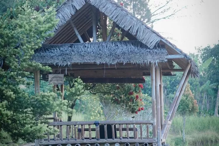Resto Sunda Lesehan di Bogor, Nikmati Sensasi Makan di Tengah Sawah Mulai Rp15 Ribuan