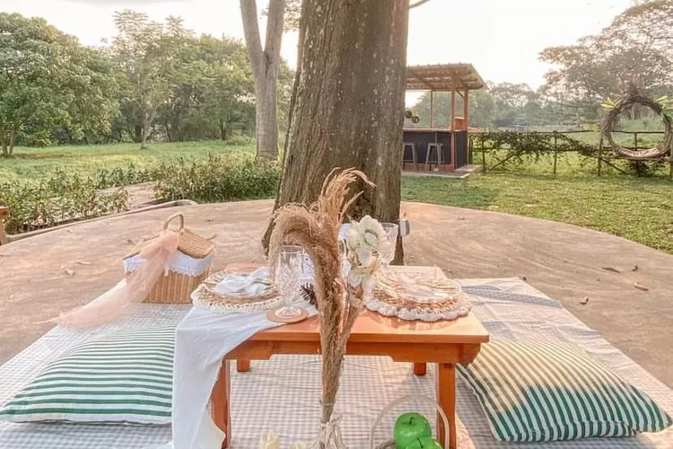 20 Menit dari Alun-Alun Kota Bogor, Ada Coffee Shop Pemandangan Bak di Negeri Dongeng