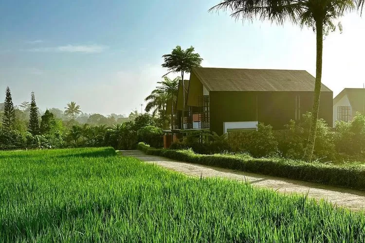 Villa Estetik Pinggir Sawah di Bogor Gratis Suki dan Grill Bikin Staycation Berkesan!