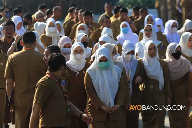 PPPK jadi prioritas dalam CASN 2023, segini jumlah formasinya. (Ayobandung.com)