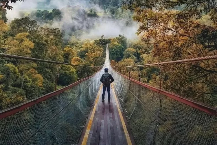 4 Jam dari Bogor Jembatan Gantung Terpanjang se-Asia Tenggara Ada di Jabar Tiket Rp25 Ribu