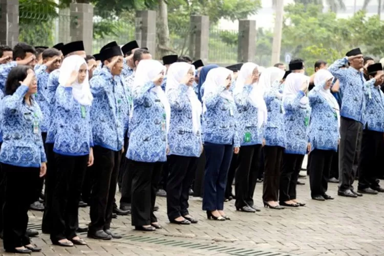 Ilustrasi cara cek formasi CPNS dan PPPK 2023. (Pemkab Bogor)