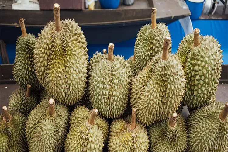 3 Tempat Makan Durian di Semarang Harga Murah Makan Sampai Klenger