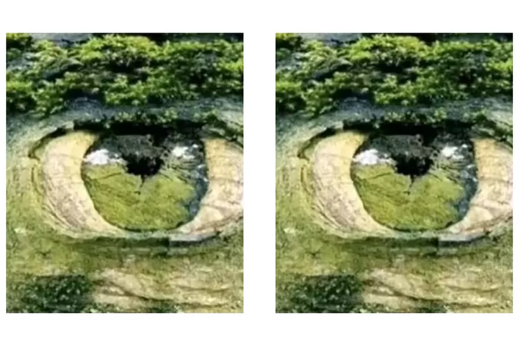 Tes Kepribadian: Gambar Pertama yang Kamu Lihat Mata Atau Hutan? Jawabanmu Ungkap Soal Rasa Insecure (TikTok @mia_yilin)