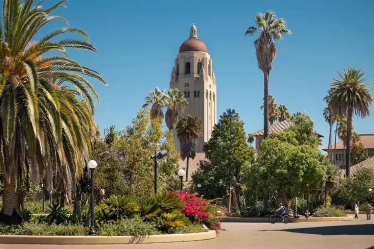 Ilustrasi. Stanford University bakal buka sekolah di IKN. (Instagram/@stanford)