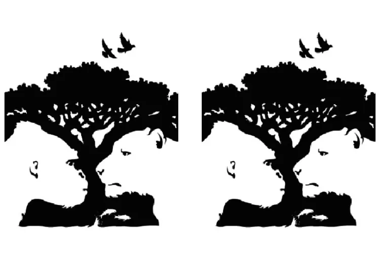 Tes Kepribadian: Jika Gambar Pertama yang Kamu Lihat adalah Burung, Maka Kamu Berpotensi Jadi Pemimpin! (jagranjosh.com)