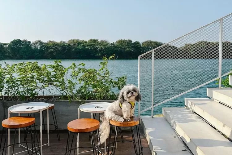  December By The Bay Jakarta, cafe aesthetic tepi danau. (instagram.com/@decembercoffee.id)