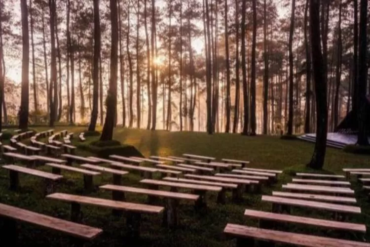 Orchid Forest Cikole, salah satu destinasi wisata favorit di Lembang Bandung (id.pinterest.com)