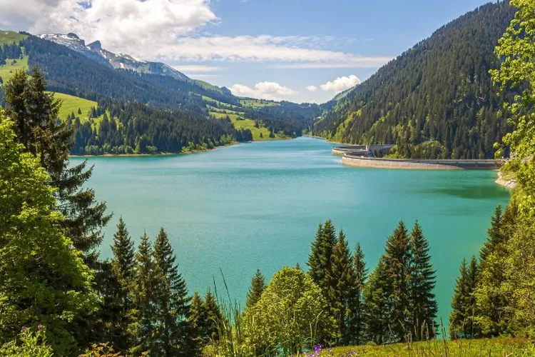 Rekomendasi danau di Bogor cocok buat piknik. (freepik)