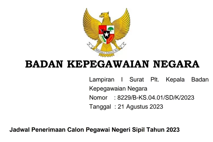 AKHIRNYA! JADWAL RESMI CPNS 2023 Dirilis BKN, Ini Dia Link Daftar ...