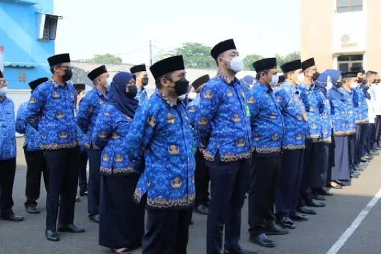 CPNS dan PPPK 2023 (jakarta.go.id)