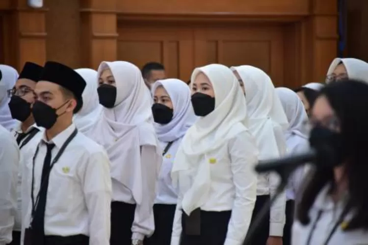 LANGKAH TEPAT MENUJU ASN SIMAK PERBEDAAN PPPK UMUM DAN PPPK KHUSUS DI CASN 2023, WAJIB TAHU! (bpk.go.id)