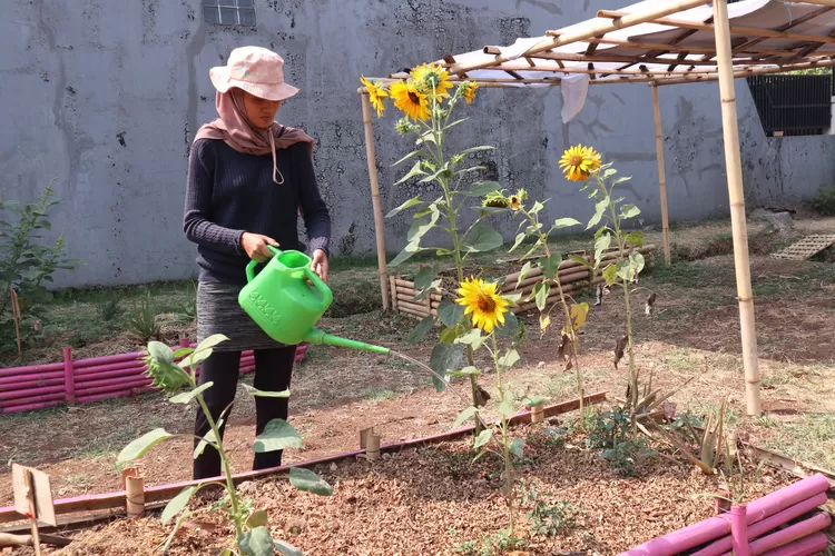 Upaya pemanfaatan lahan tidur di Arcamanik (Bisnisbandung/Budi Hartati)