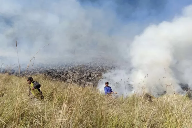 Foto arsip. Sejumlah personel gabungan Balai Besar Taman Nasional Bromo Tengger Semeru (BB TNBTS) pada saat melakukan proses pemadaman api di area savana, di wilayah Kabupaten Malang, Jawa Timur, Rabu (30/8/2023).  (ANTARA/HO-BB TNBTS)