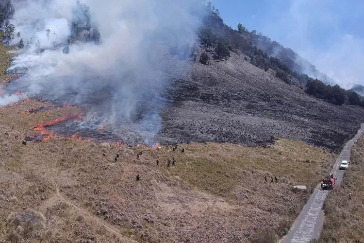 Foto arsip - Personel gabungan Balai Besar Taman Nasional Bromo Tengger Semeru (BB TNBTS) pada saat melakukan proses pemadaman api di area savana, di wilayah Kabupaten Malang, Jawa Timur, Rabu (30/8/2023).  (ANTARA/HO-BB TNBTS)