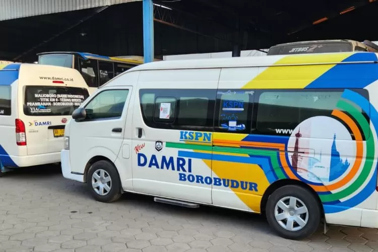 Ilustrasi - Armada DAMRI.  (ANTARA/HO-DAMRI )