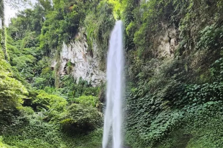 Wajib Dikunjungi, Inilah Pesona Wisata Air Terjun Blemantung Bali Yang ...