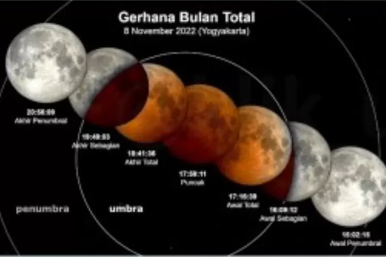 Contoh Soal Kunci Jawaban Dan Pembahasan Penilaian Tengah Semester