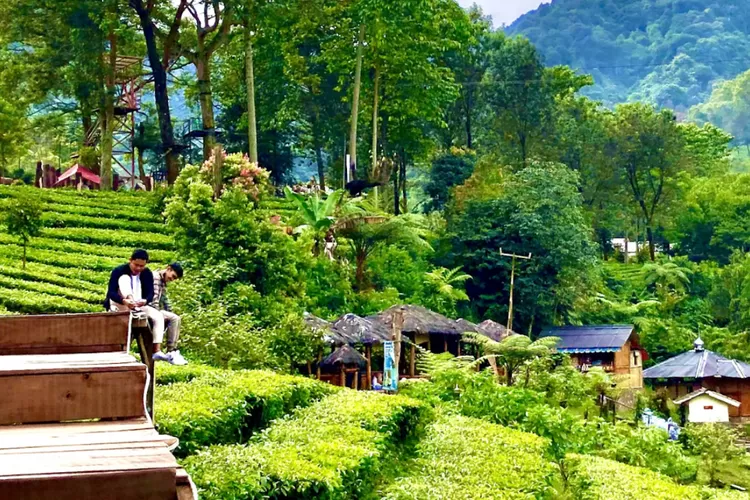 Destinasi wisata Gunung Mas Puncak Bogor. (Foto/Instagram.)