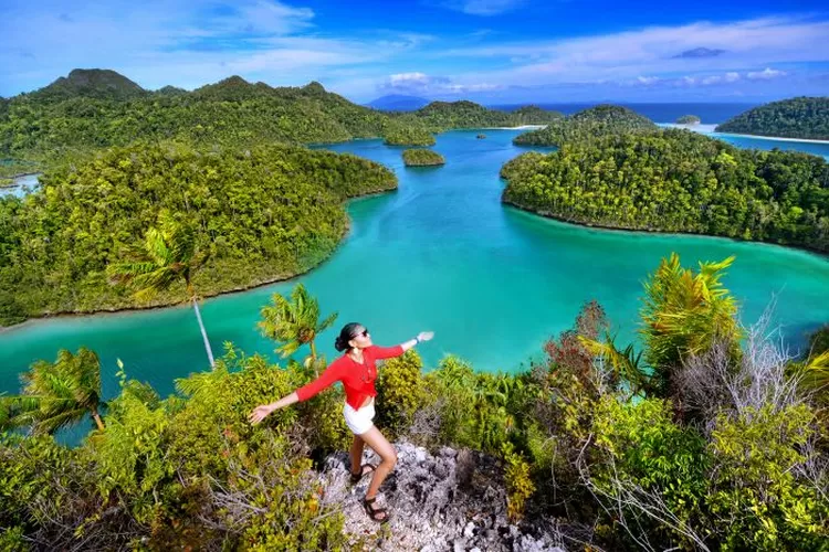 6 Fakta Menarik tentang Raja Ampat: Populasi, Bahasa, dan Keanekaragaman  Hayati - Warta Pesona