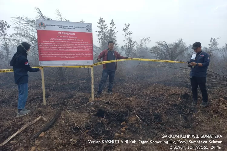 Ini Lokasi Kebakaran Hutan Dan Lahan Di Sumatera Selatan Yang Disegel