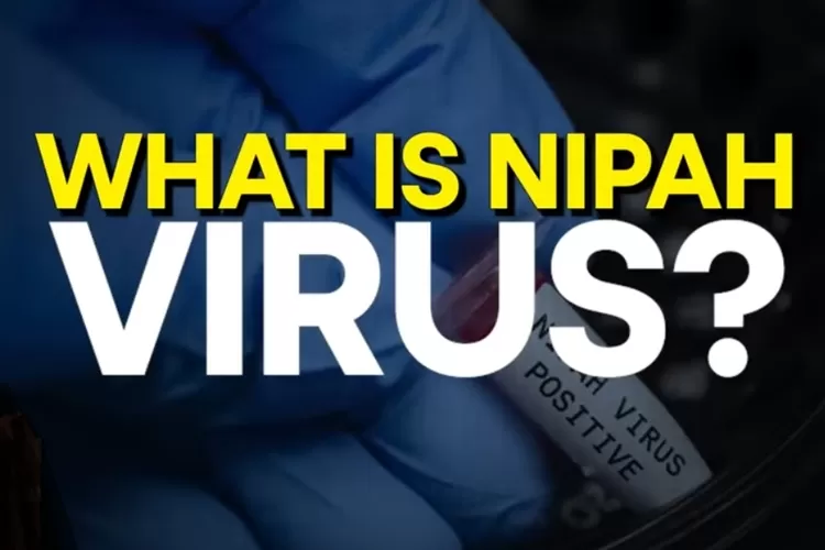 Virus Nipah muncul khawatirkan dunia (Tangkap Layar YouTube WION)