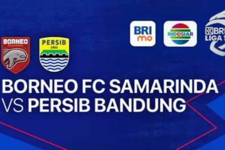 pertandingan BRI Liga 1 Borneo FC vs Persib Bandung (Vidio.com)