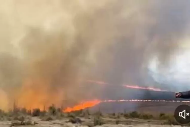 Fenomena tornado api muncul di tengah insiden kebakaran savana Gunung Bromo, Bukit Teletubbies (Twitter/@anomharya)