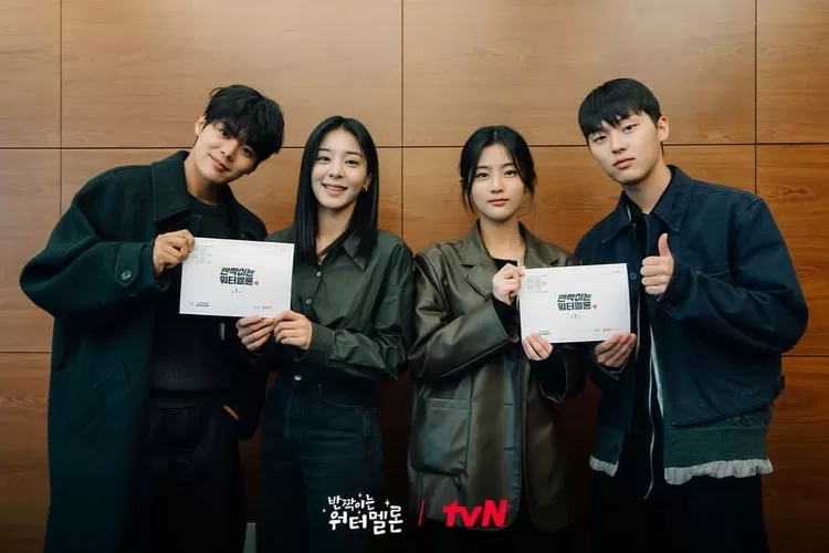 Biodata dan Akun Instagram Pemain Drama Korea Twinkling Watermelon. (Instagram @tvn_drama)