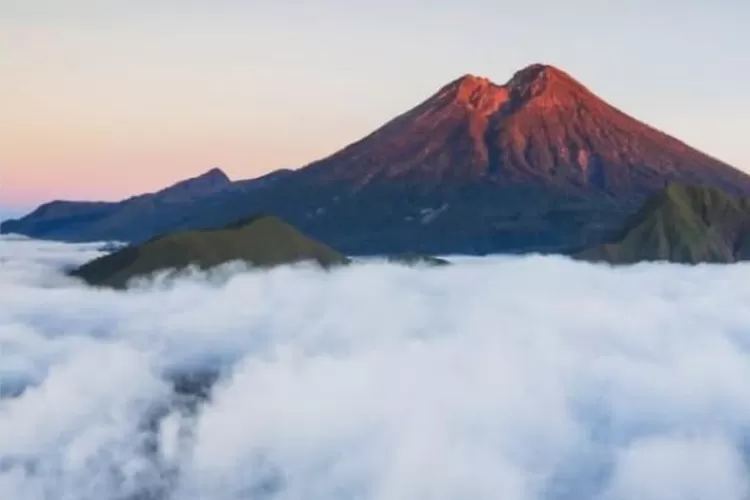 Bukit Pal Jepang yang terdapat di lombok Timur. 