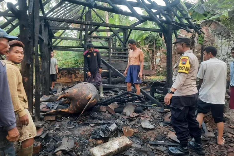 Anggota polisi dari Polsek Wonotunggal Batang melakukan investigasi kebakaran kandang sapi. (dok)