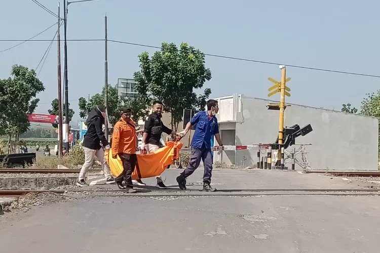 Petugas mengevakuasi tubuh korban yang tertabrak KA Joglosemarkerto Rabu 23 Agustus 2023.  ((Edi Prayitno/ kontributor Kendal))