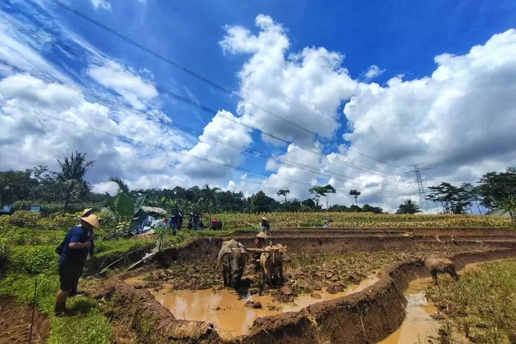 Desa Wisata Lerep. Ilustrasi daerah terdingain di Kabupaten Semarang. (Jatengprov.go.id)