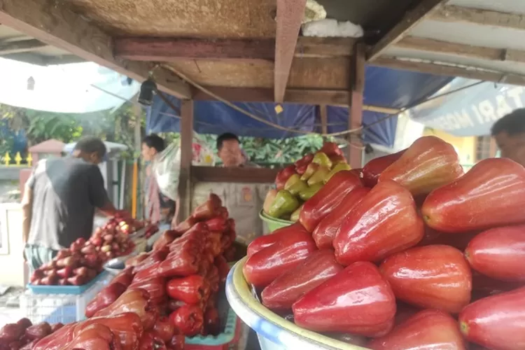 Para pedagang buah menjajakan jambu merah delima khas Demak di Jalan Purwodadi - Demak. (Zaidi)