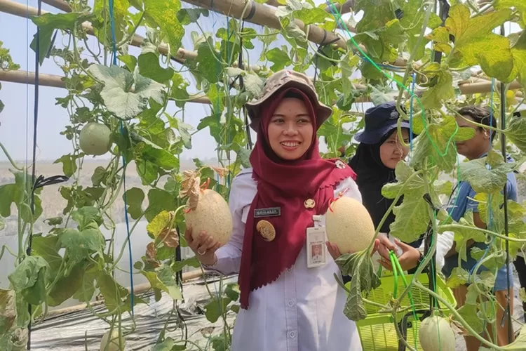 Bupati Demak Eisti'anah saat menyicipi sensasi agrowisata petik buah melon di Kartini Queen Green House Demak.  (Zaidi)