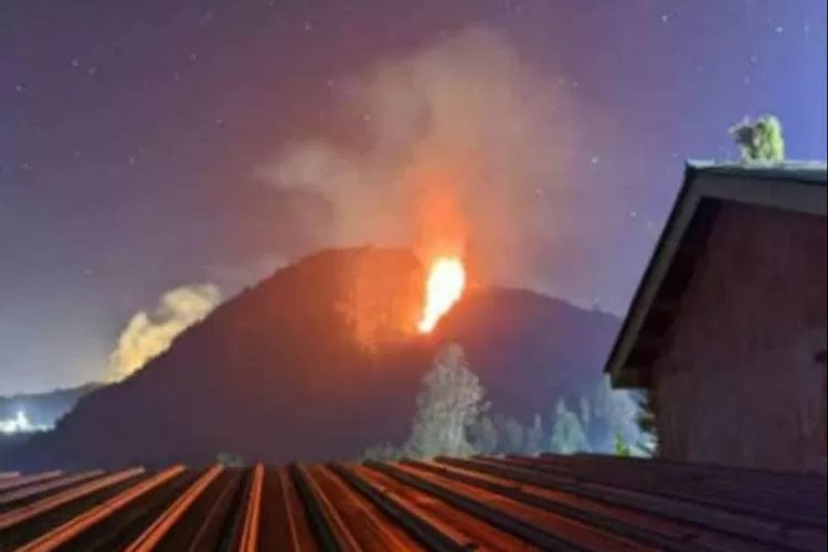 Kebakaran Hutan di Gunung Sipandu, Desa Pranten, Kecamatan Bawang, Kabupaten Batang.  (Dok)