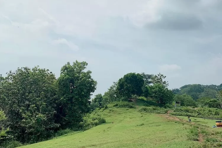 Bukit Undip tempat Healing Gratis, Hidden Gem Semarang untuk Nonton Senja, Banyak Spot Foto Aesthetic (Instagram)