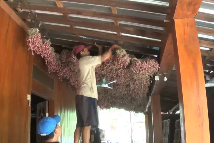 Petani di Desa Kedunggading Ringinarum menyimpan bawang merah dengan cara diletakan di plafon rumah.  ((edi prayitno/kontributorr Kendal))