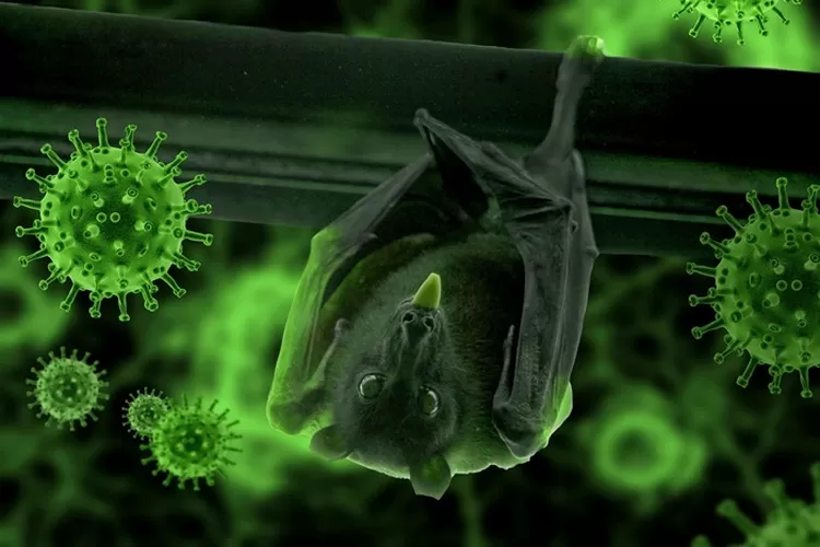 Virus Nipah Sudah Makan Korban Dikhawatirkan Menjadi Pandemi (pixabay)